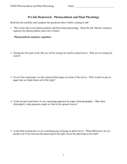 Pre-lab Homework: Photosynthesis and Plant