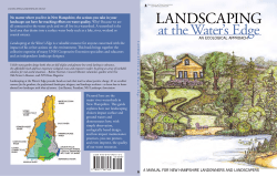 Landscaping at the Water`s Edge - An