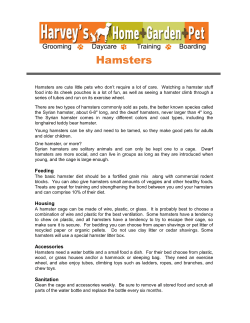 Hamsters - Harvey`s Home Garden and Pet Center