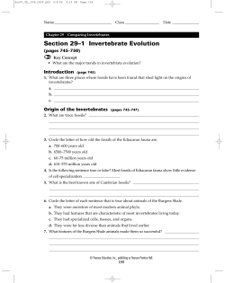 Section 29–1 Invertebrate Evolution