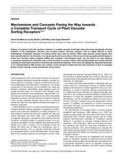 Mechanisms and Concepts Paving the Way towards