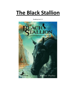The Black Stallion - Delaware Access Project