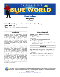 Shark Biology Buoyancy - Jonathan Bird`s Blue World