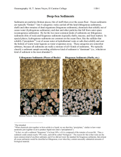 Deep-Sea Sediments - El Camino College