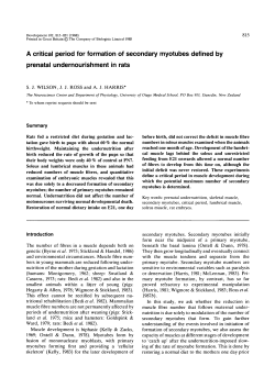 A critical period for formation of secondary myotubes defined by