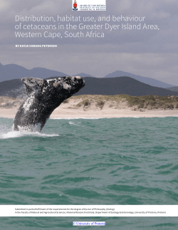 Distribution, habitat use, and behaviour of cetaceans in the Greater