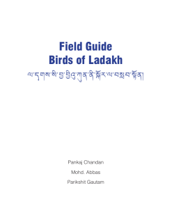 Field Guide Birds of Ladakh