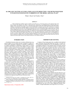 ORGANIC MATTER ACCUMULATION, SULFATE REDUCTION