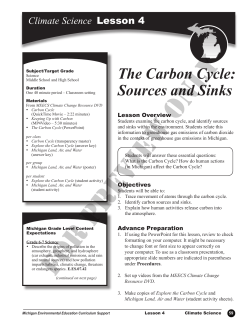 The Carbon Cycle: Sources and Sinks