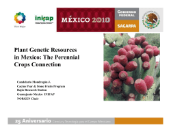 Plant Genetic Resources in Mexico: The Perennial Crops Connection