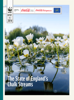 The State of England`s Chalk Streams - Coca