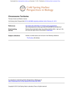 Chromosome Territories