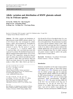 Allelic variation and distribution of HMW glutenin subunit 1Ay in