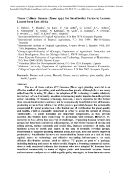 Tissue Culture Banana (Musa spp.) for Smallholder Farmers