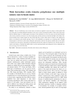 Male horseshoe crabs Limulus polyphemus use multiple sensory