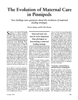 in Pinnipeds