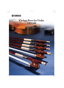 Carbon Bows for Violin YBN100