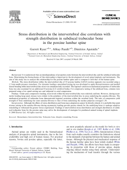Stress distribution in the intervertebral disc correlates