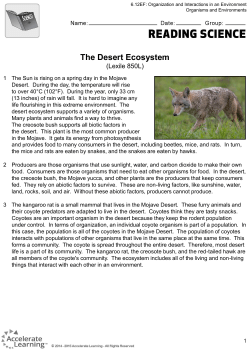 The Desert Ecosystem