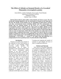 The Effect of Altitude on Stomatal Density of a Greenleaf Manzanita
