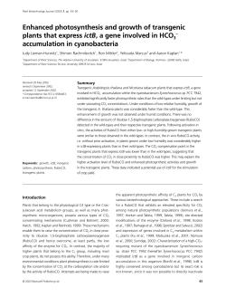 Enhanced photosynthesis and growth of transgenic plants that