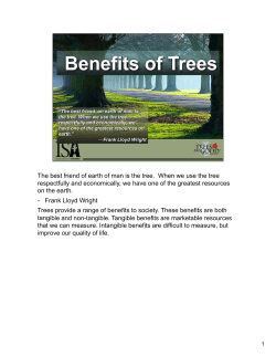 The best friend of earth of man is the tree. When we use the tree