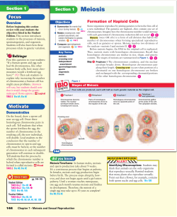 Meiosis - Jourdanton ISD