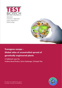 Global atlas of uncontrolled spread of genetically engineered plants