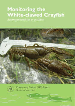 Monitoring the White-Clawed Crayfish