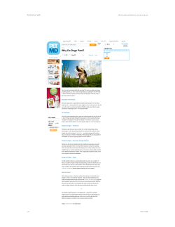 Preview of &ldquo;Why Do Dogs Pant? | petMD&rdquo;