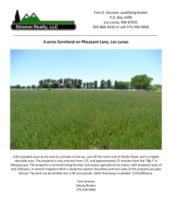 4 acres farmland on Pheasant Lane, Los Lunas