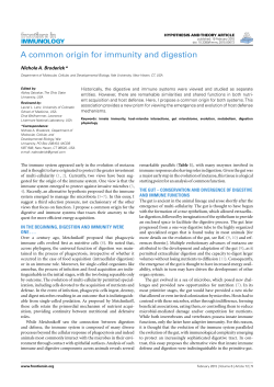 A common origin for immunity and digestion