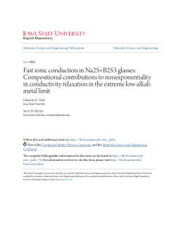 Fast ionic conduction in Na2S+B2S3 glasses