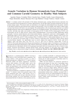 Genetic Variation in Human Stromelysin Gene Promoter and