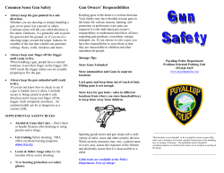 Common Sense Gun Safety Gun Owners` Responsibilities