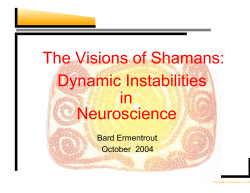 Dynamic Instabilities in Neuroscience The Visions