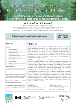 The Role of Forests in Carbon Cycles, Sequestration, and Storage