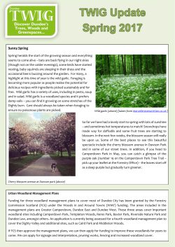 Spring Update - Dundee City Council
