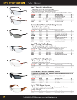 EYE PROTECTION Safety Glasses