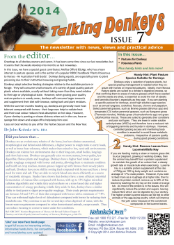 Talking Donkeys - Issue 7, 2014