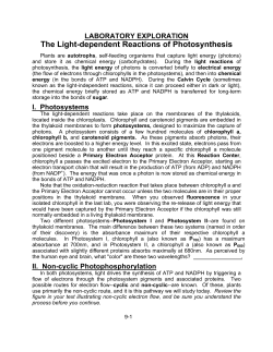 The Light-dependent Reactions of Photosynthesis
