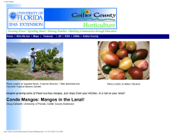 Condo Mangos - Collier County Extension Office