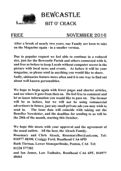 complete 185 nov 16 - Bewcastle Parish Council