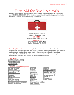 First Aid for Small Animals - Pleasant Valley Pet Clinic