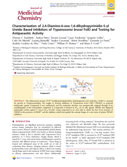 Characterization of 2, 4-Diamino-6-oxo-1, 6-dihydropyrimidin-5