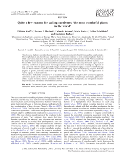 Quite a few reasons for calling carnivores `the most wonderful plants