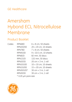 Amersham Hybond ECL Nitrocellulose Membrane