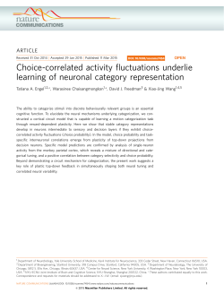 Choice-correlated activity fluctuations underlie learning of neuronal