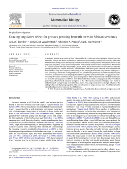 Grazing ungulates select for grasses growing beneath trees