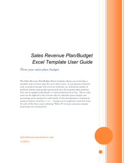 Sales Revenue Plan/Budget Excel Template User Guide